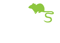 Pest Control Colchester